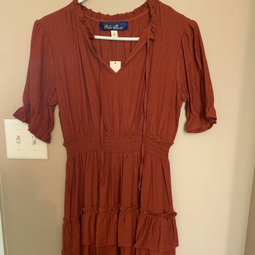 Cinched Waist Ruffle Dress - Rust